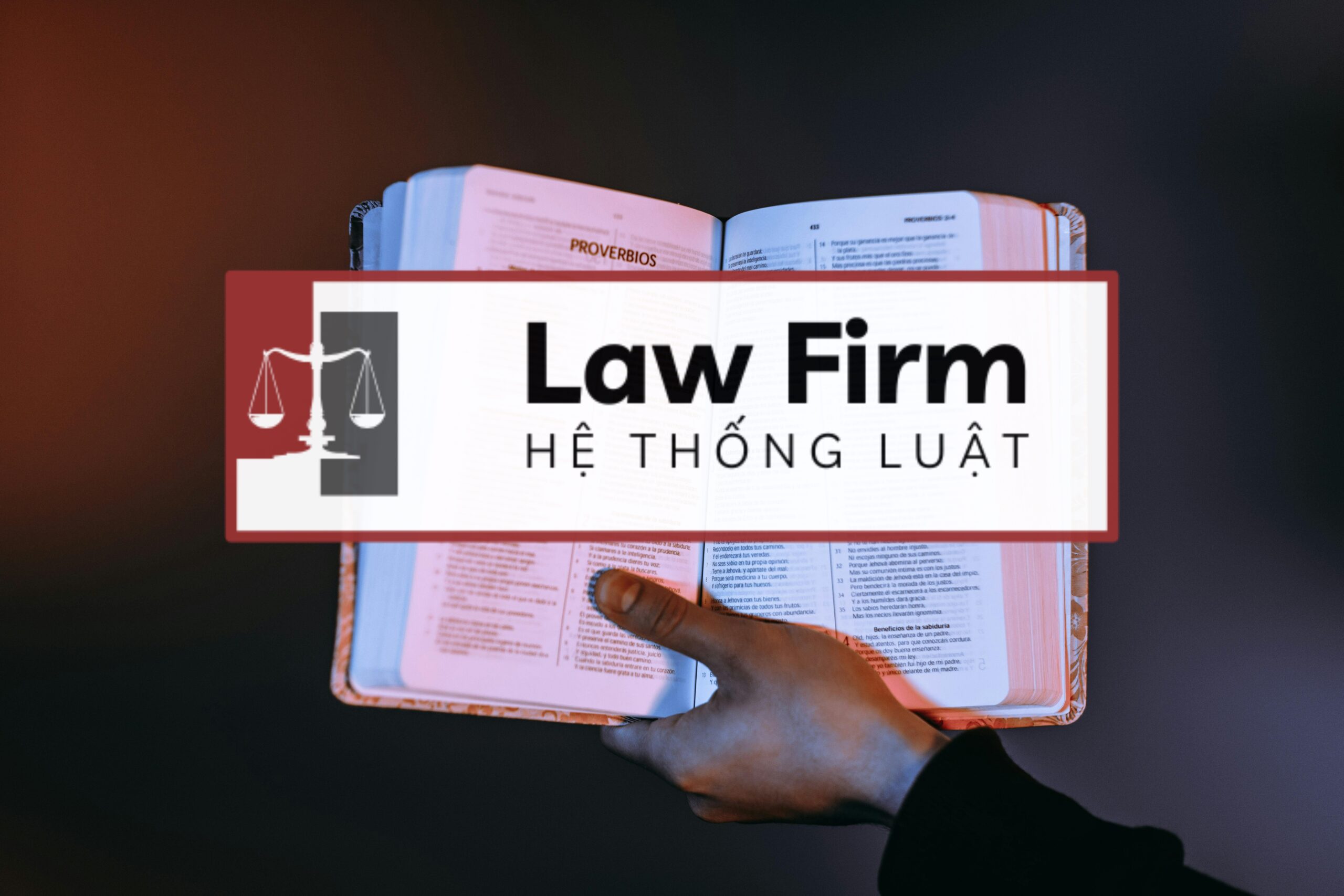 <b>Trọn gói thủ tục hướng dẫn soạn hồ sơ và xử lý tranh chấp về quyền thừa kế và di sản tại Phường Bạch Mai, Thành phố Hà Nội</b> - Ảnh 2