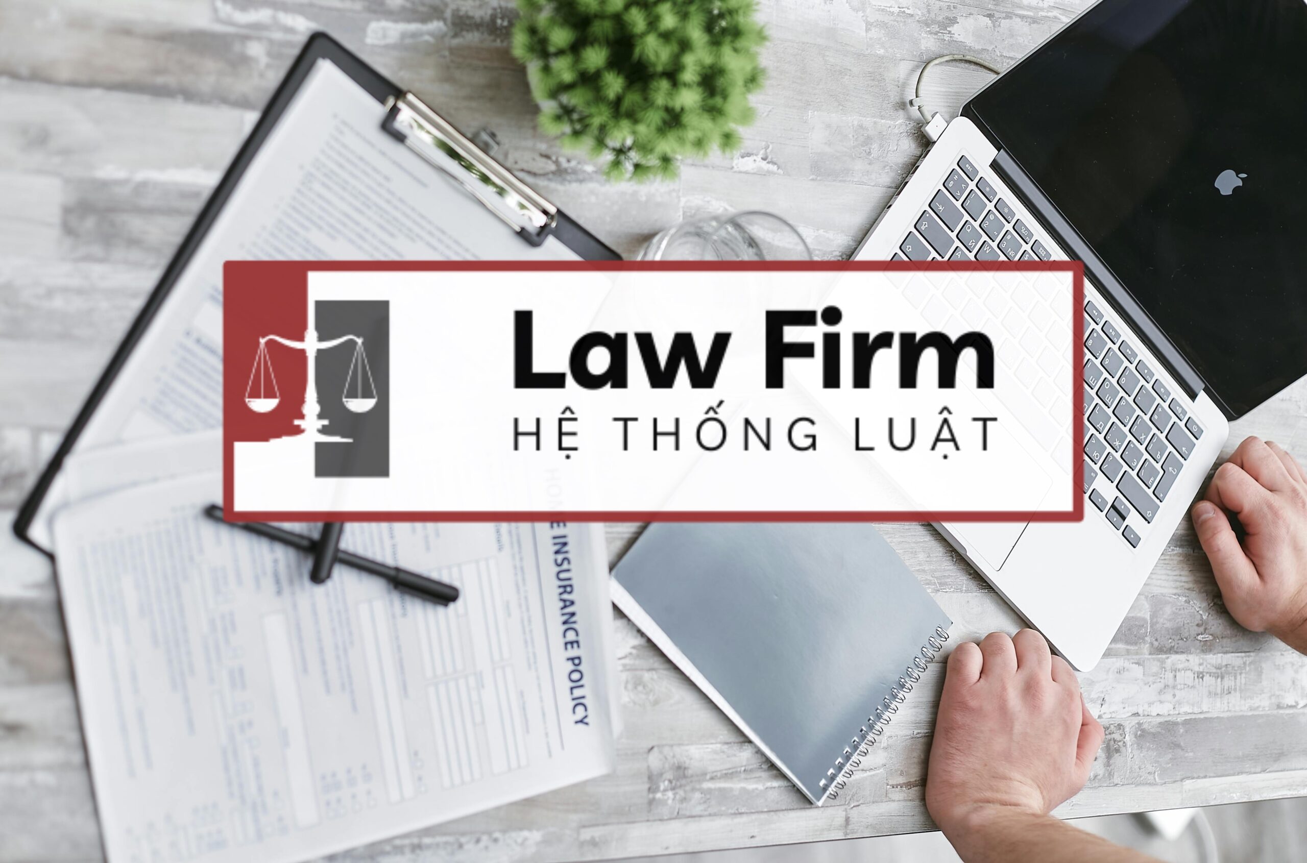 <b>Gói dịch vụ Luật sư cố vấn soạn thảo và tham gia xử lý vụ việc tranh chấp về quyền thừa kế và di sản ở khu vực Xã Phú Hòa Đông, TP. Hồ Chí Minh</b> - Ảnh 2